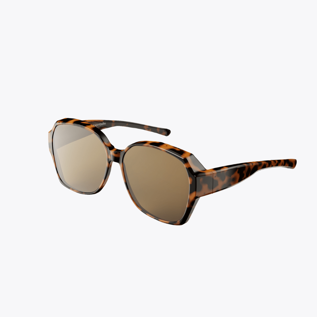 SUR-LUNETTES POLARISÉES